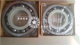 电绝缘轴承 6311-c3-j20c