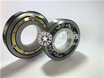 6018m/c3vl2071 电绝缘轴承