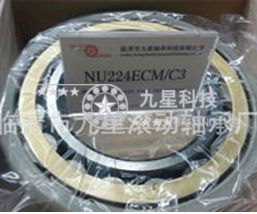 nu1022emc3vl0241 电绝缘轴承