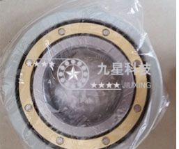 6319-m-j20aa-c4 电绝缘轴承