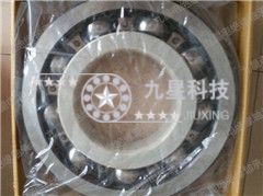 电绝缘轴承 6411/c3vl2071