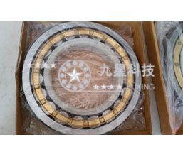 f-809035.nu228-e-j20aa 电绝缘轴承