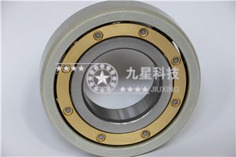 电绝缘轴承 6021m/c3j20a